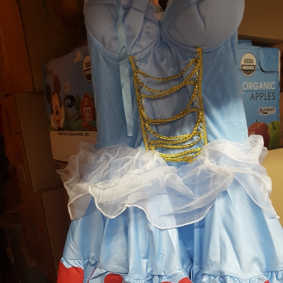 Rebel Toons Alice in Wonderland Adult Costume sz LARGE LAST ONE - Picture 9 of 14